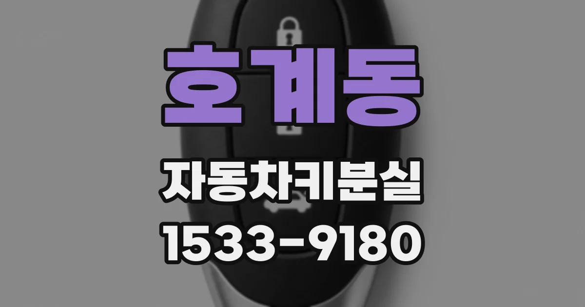호계동 자동차키분실