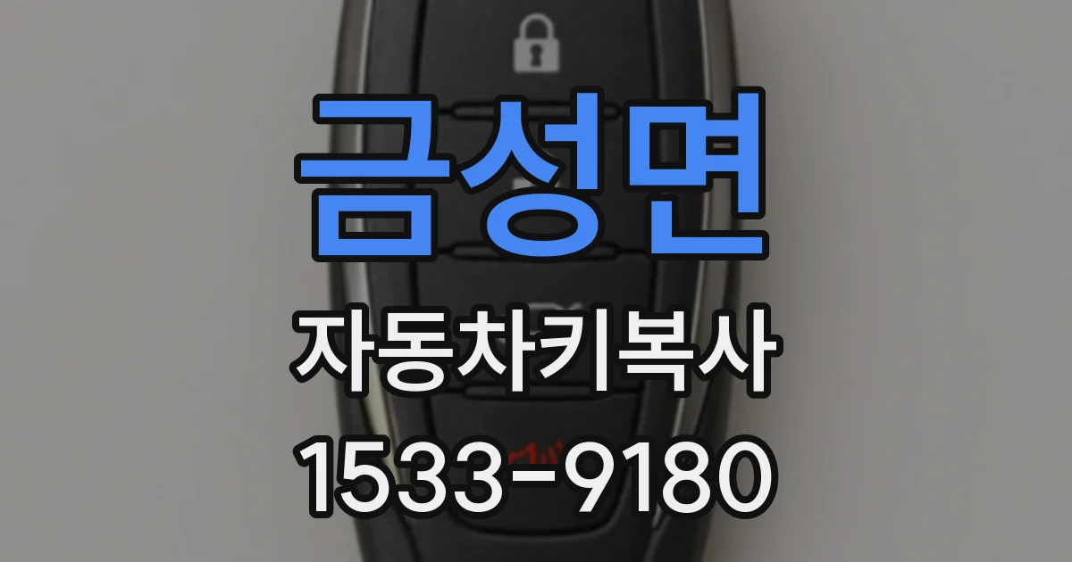 금성면 자동차키복사