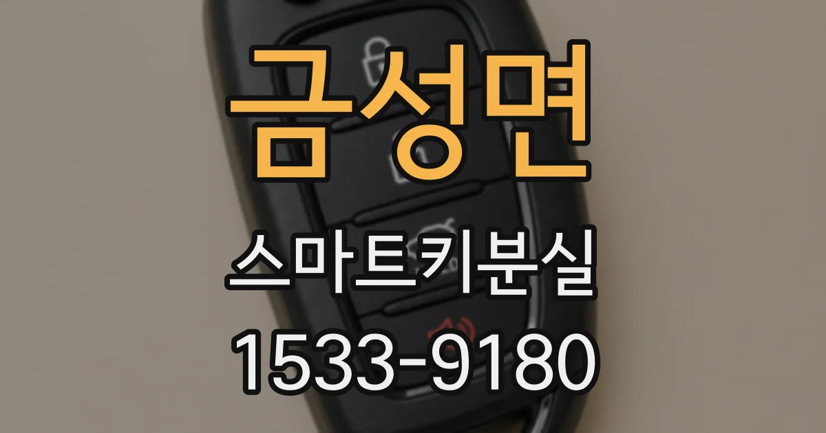 금성면 스마트키분실