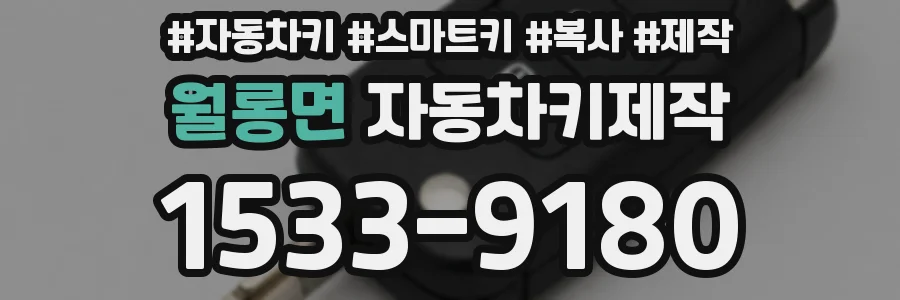 월롱면 자동차키제작