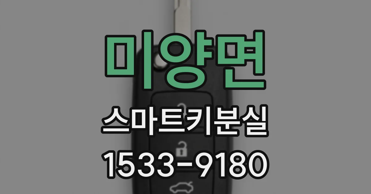 미양면 스마트키분실