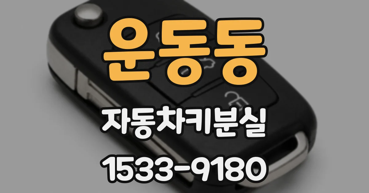 운동동 자동차키분실