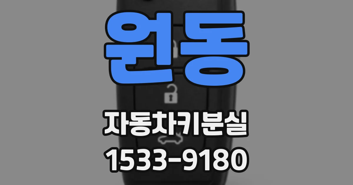 원동 자동차키분실