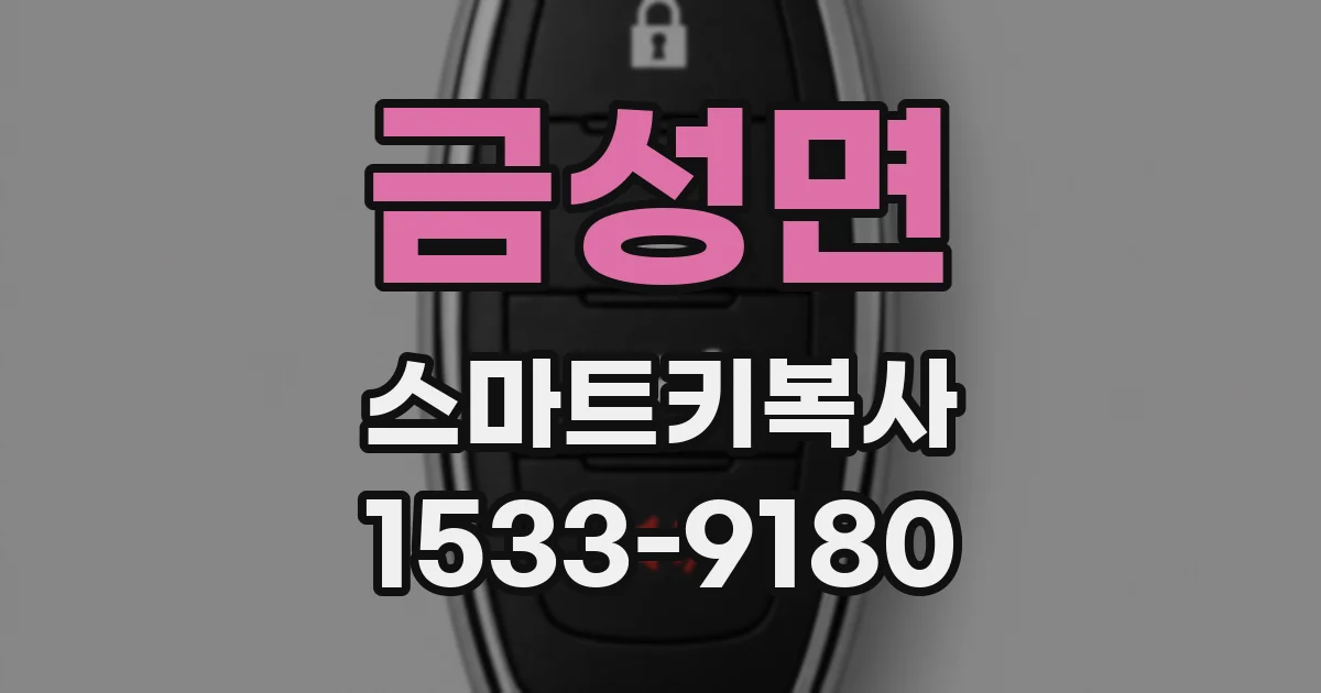 금성면 스마트키복사