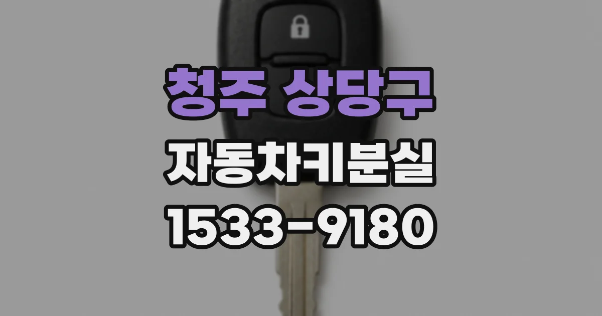청주 상당구 자동차키분실