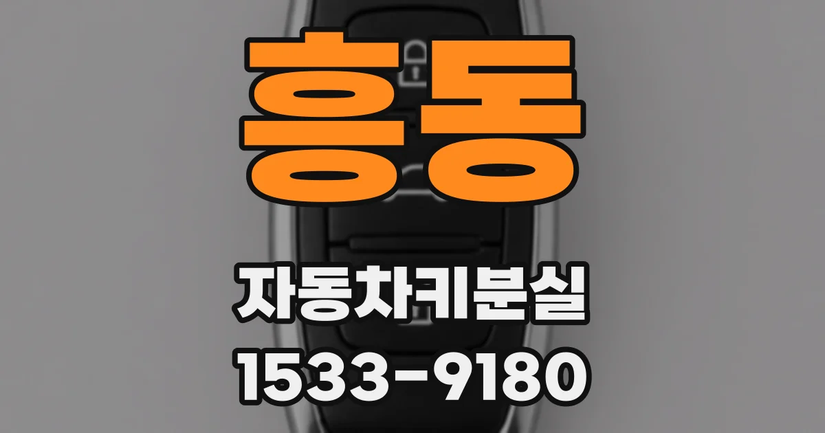 흥동 자동차키분실