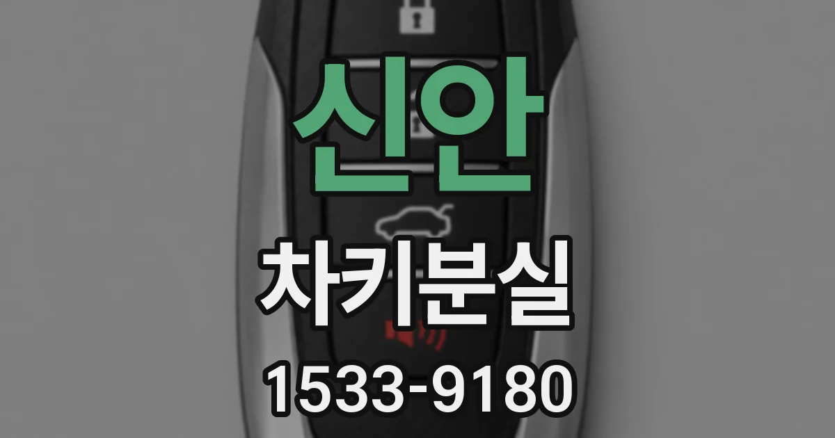 신안 차키분실