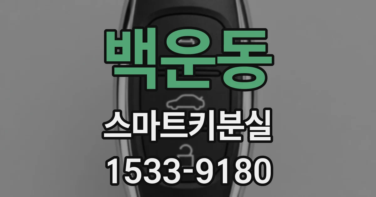 백운동 스마트키분실