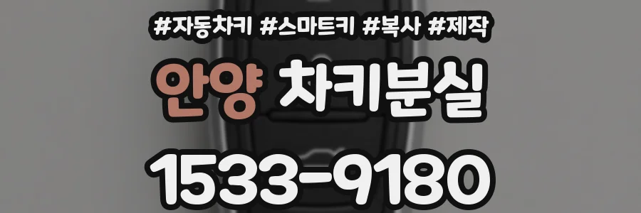 안양 차키분실