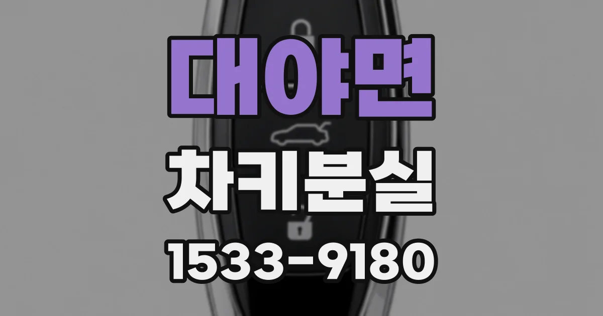 대야면 차키분실