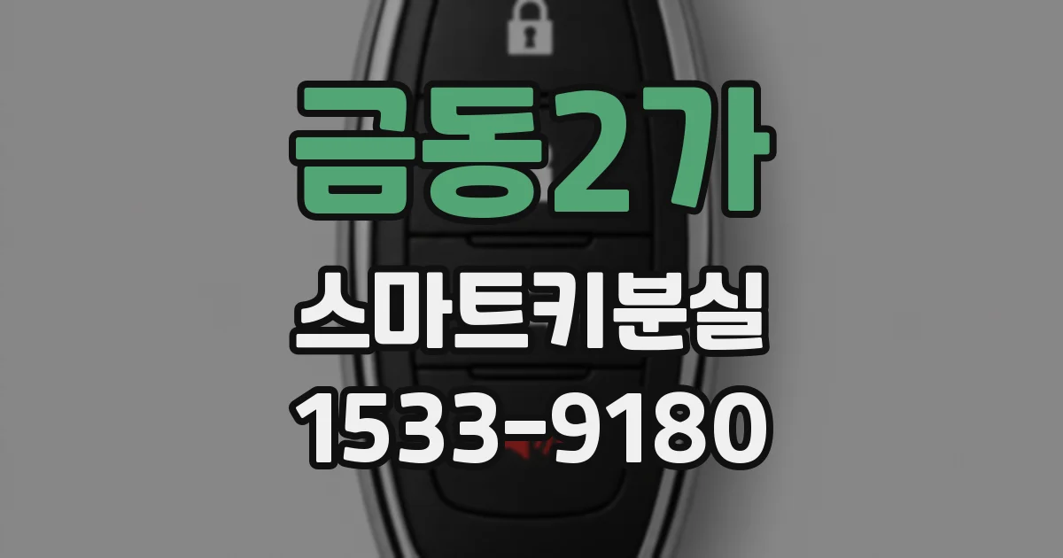 금동2가 스마트키분실