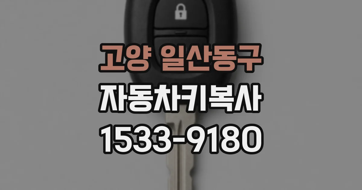 고양 일산동구 자동차키복사