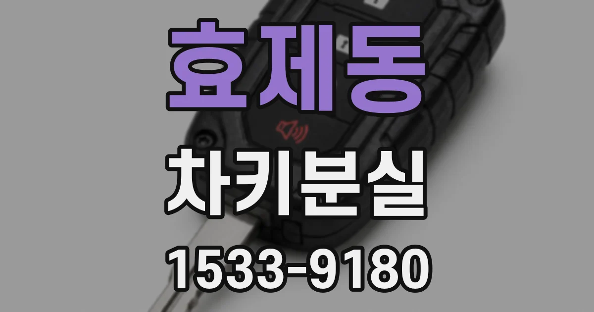 효제동 차키분실