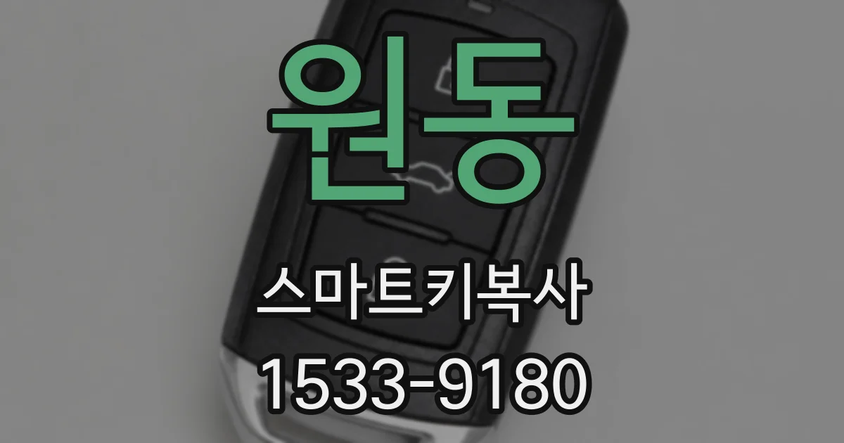 원동 스마트키복사