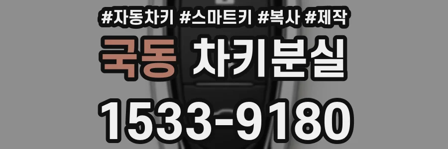 국동 차키분실