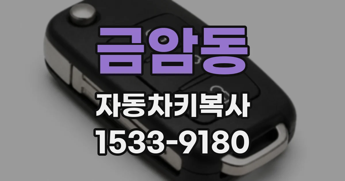 금암동 자동차키복사