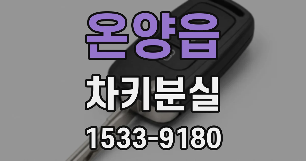 온양읍 차키분실