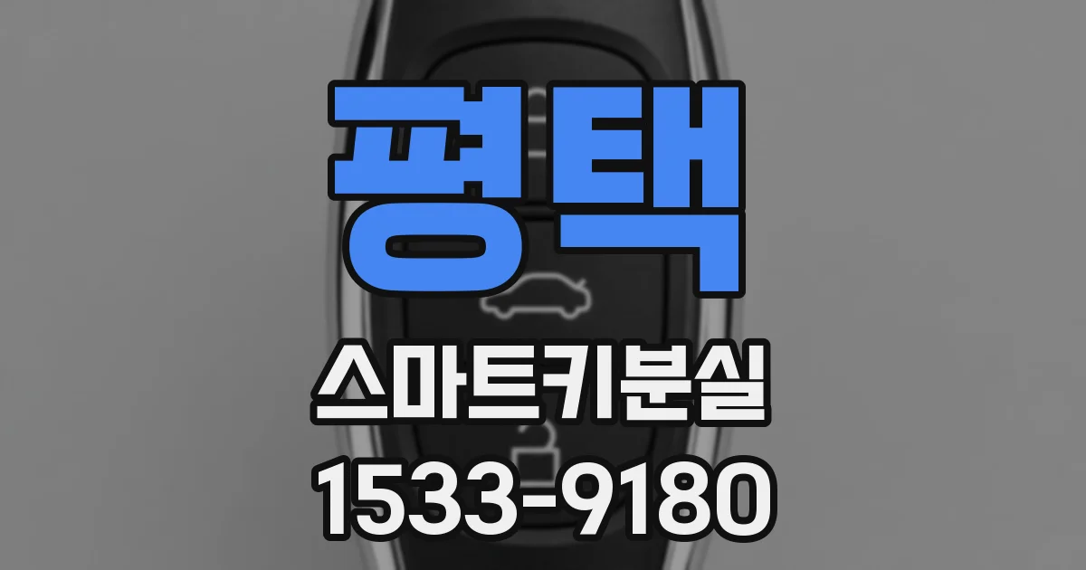 평택 스마트키분실