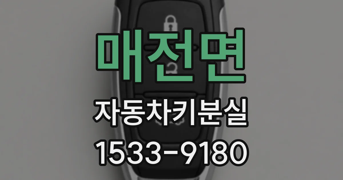 매전면 자동차키분실