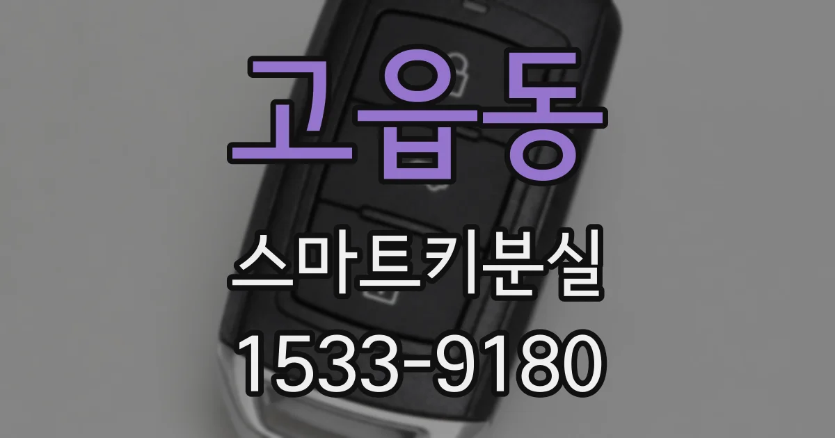 고읍동 스마트키분실