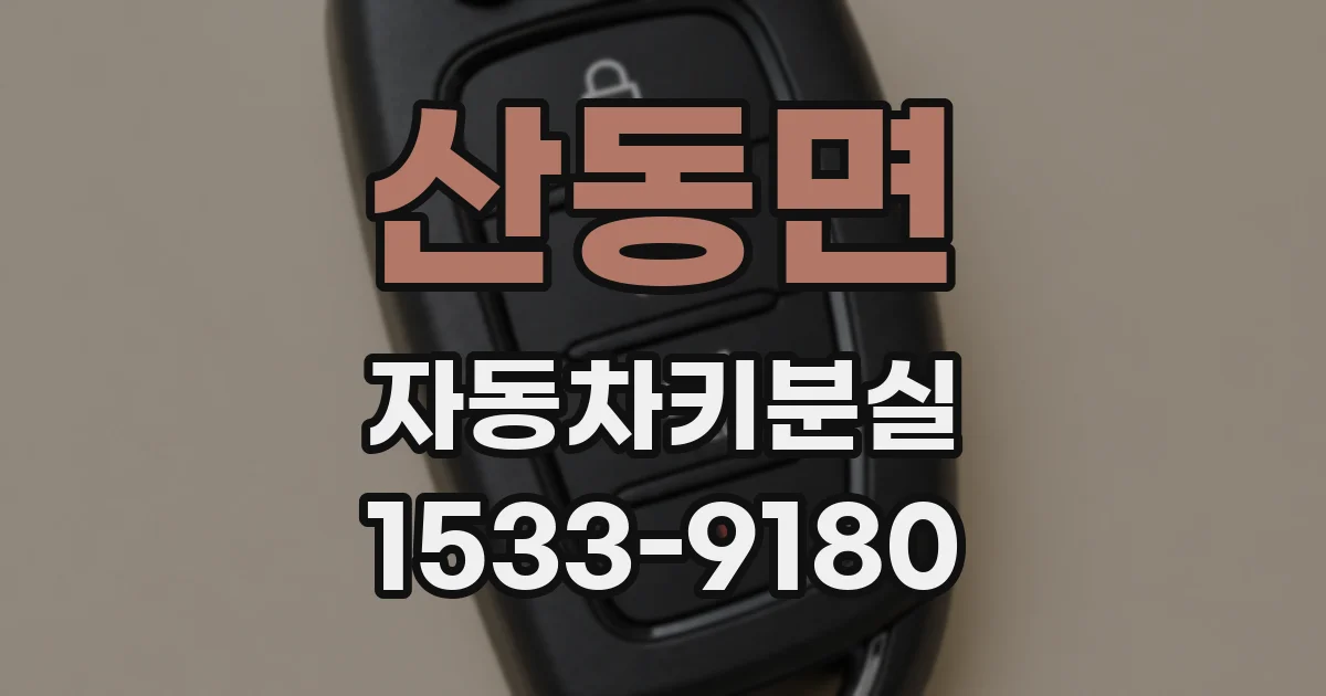 산동면 자동차키분실