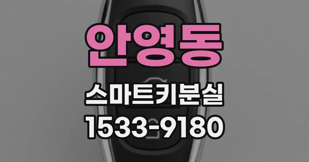 안영동 스마트키분실