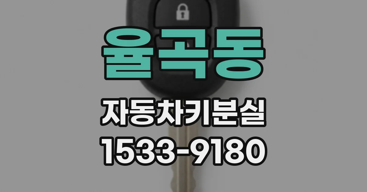 율곡동 자동차키분실