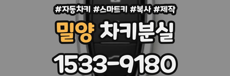 밀양 차키분실