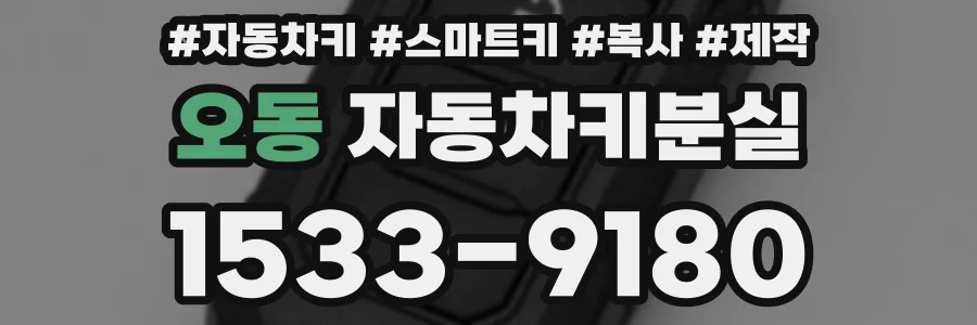 오동 자동차키분실