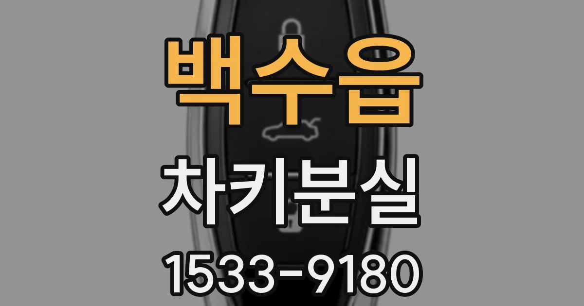 백수읍 차키분실