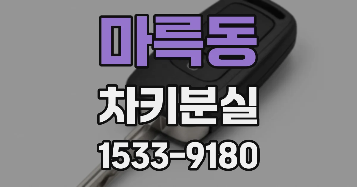 마륵동 차키분실