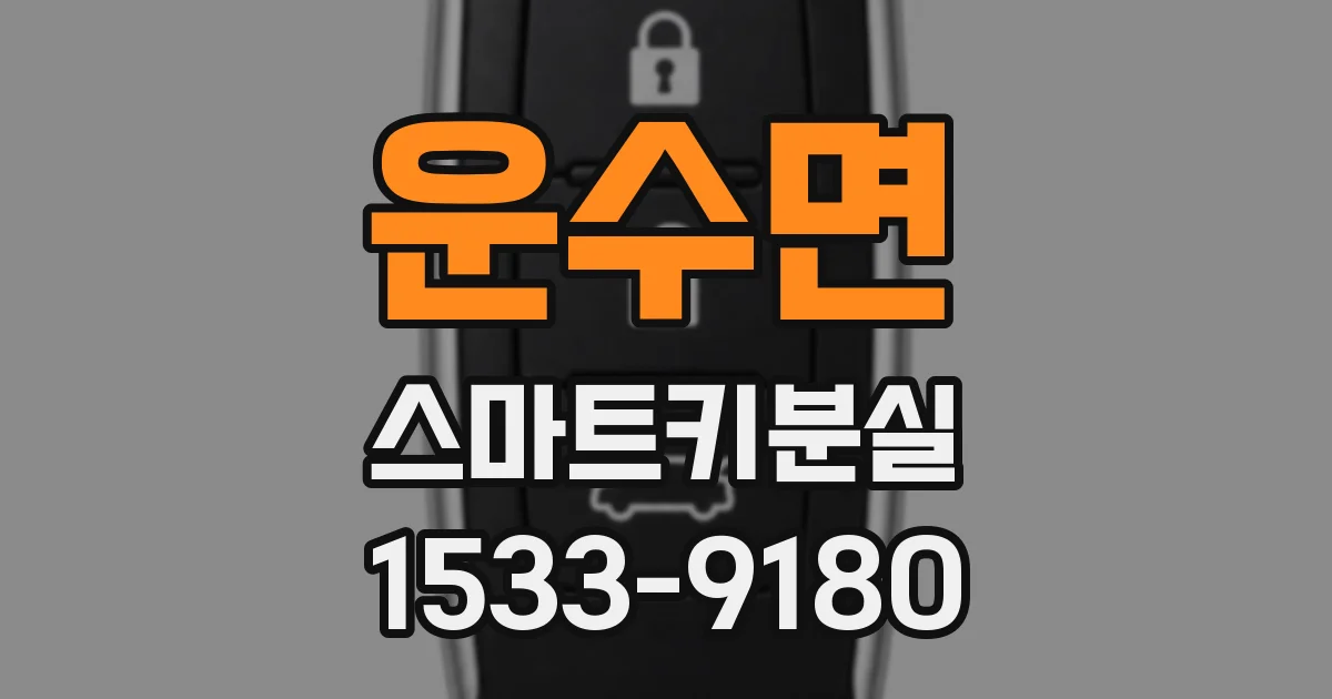 운수면 스마트키분실