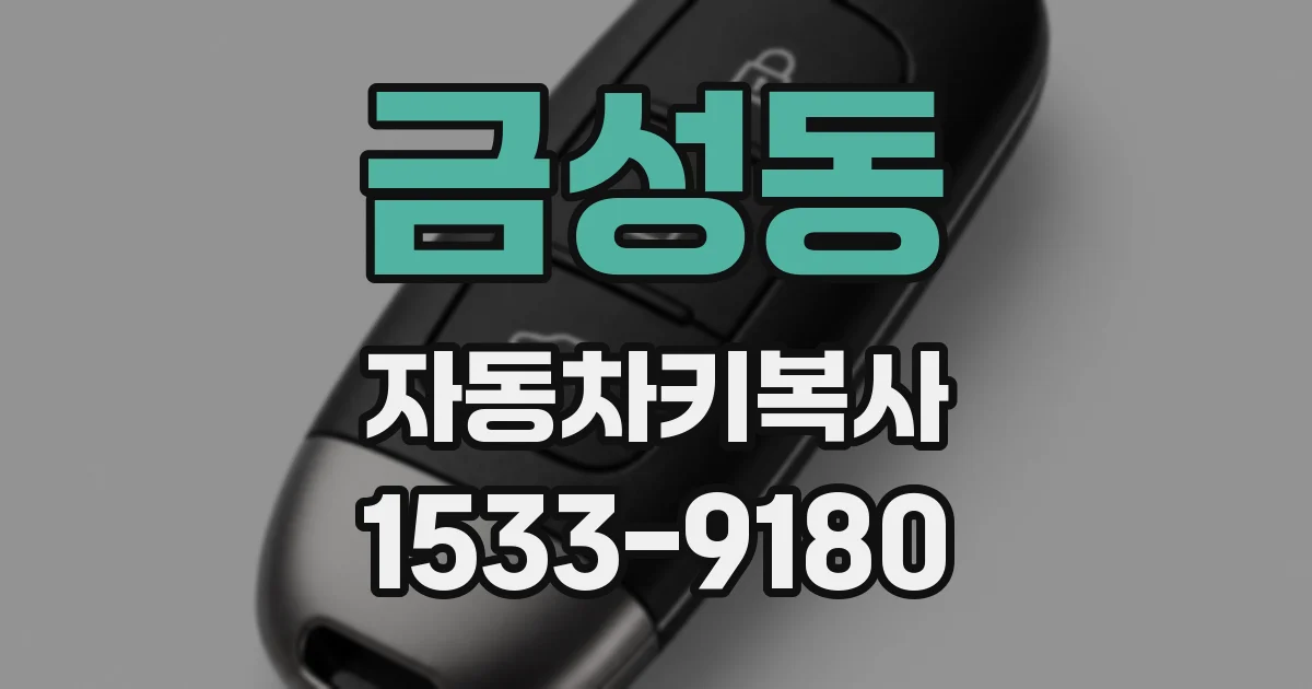 금성동 자동차키복사
