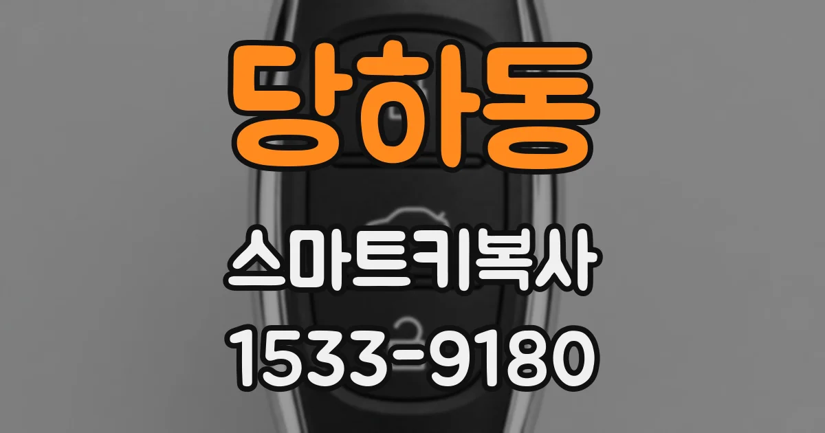 당하동 스마트키복사
