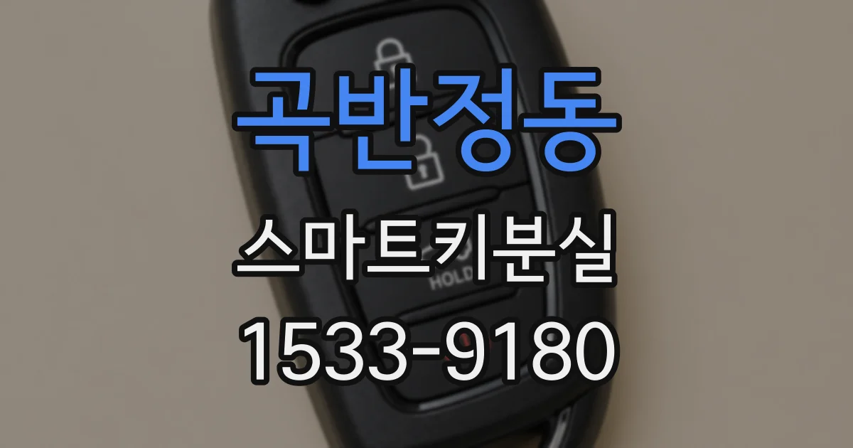 곡반정동 스마트키분실