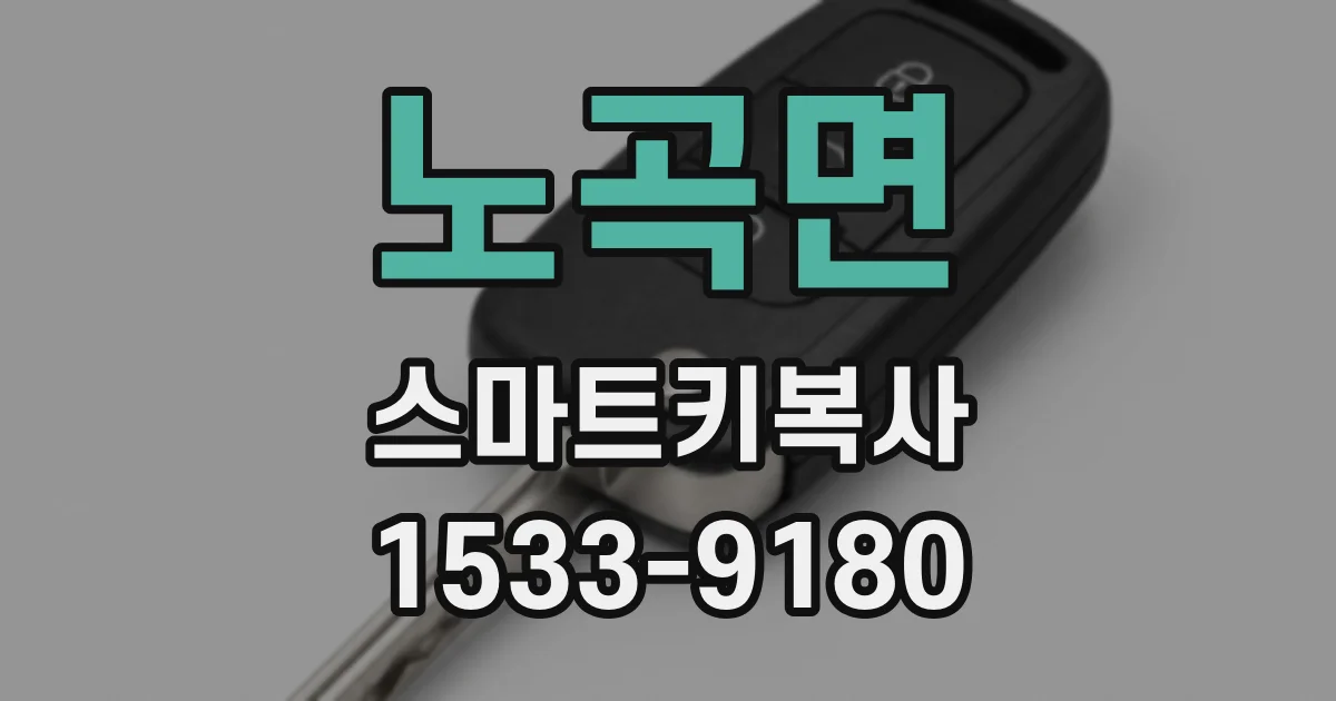 노곡면 스마트키복사