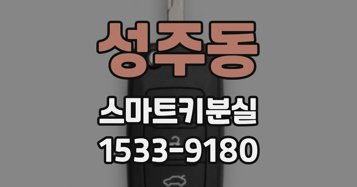 성주동 스마트키분실