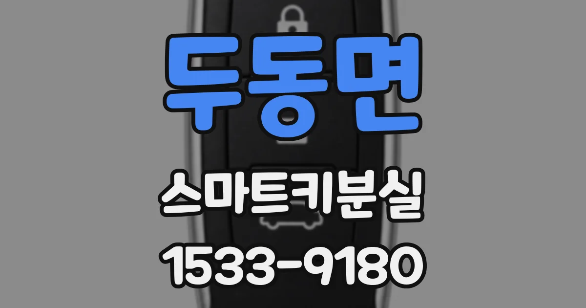 두동면 스마트키분실
