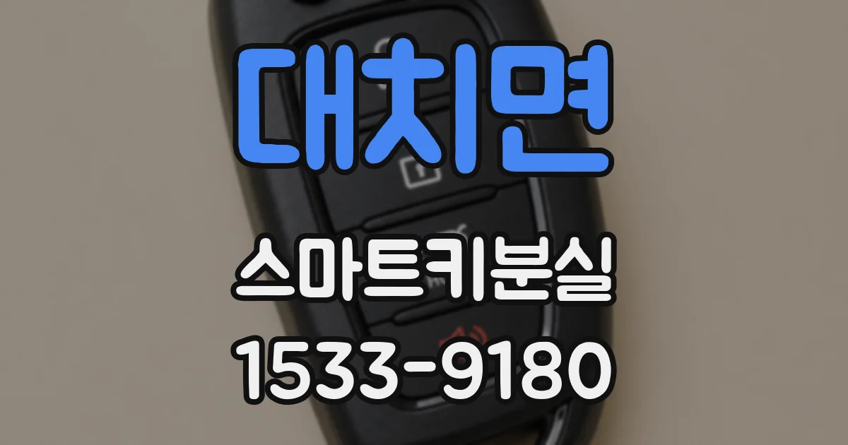 대치면 스마트키분실