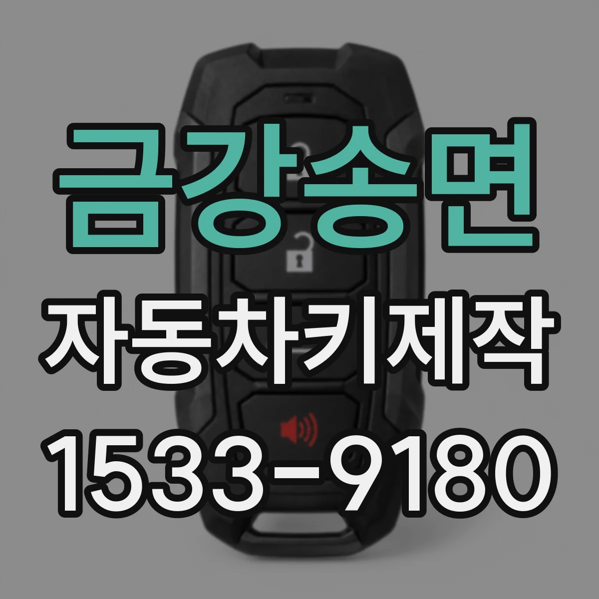 금강송면 자동차키제작