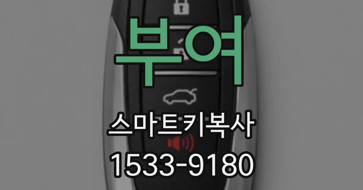 부여 스마트키복사