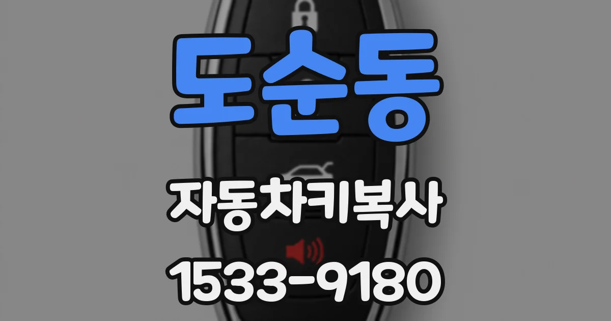 도순동 자동차키복사