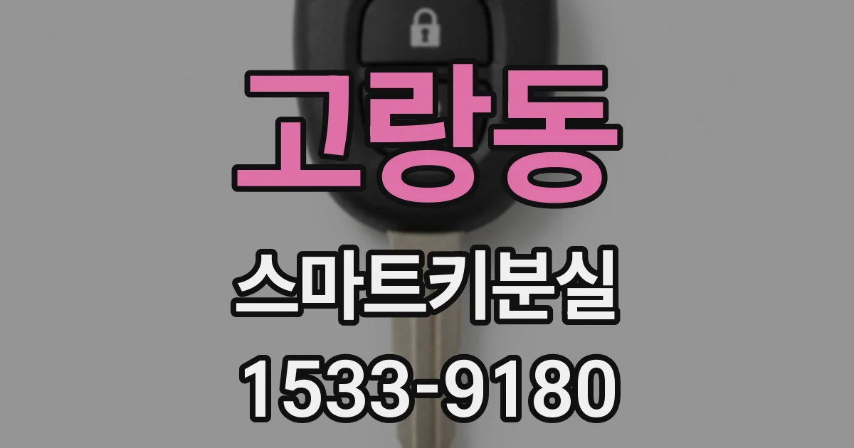 고랑동 스마트키분실