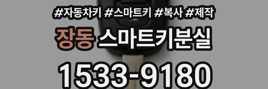 장동 스마트키분실