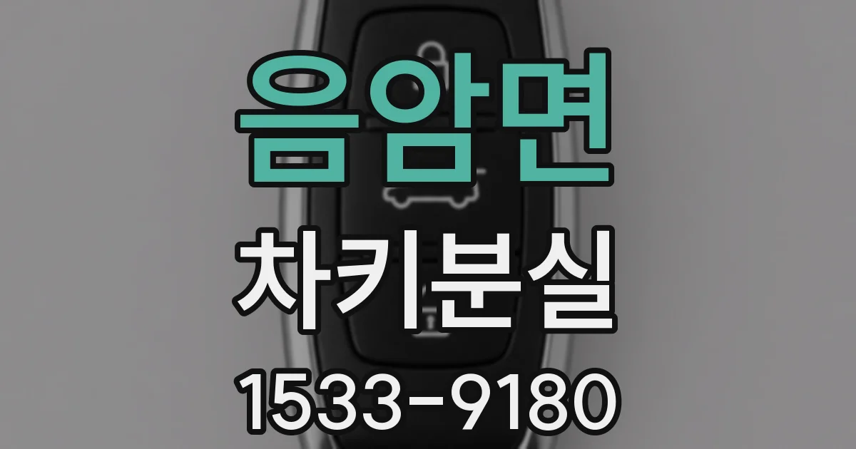 음암면 차키분실