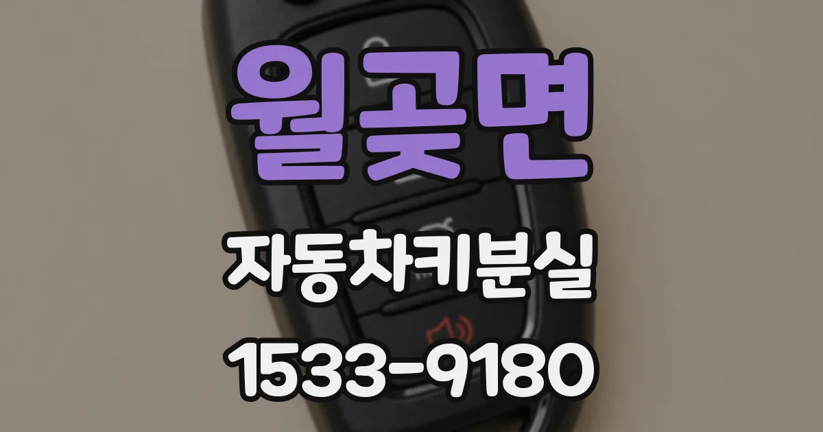 월곶면 자동차키분실