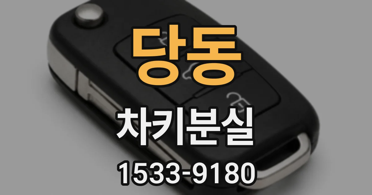 당동 차키분실