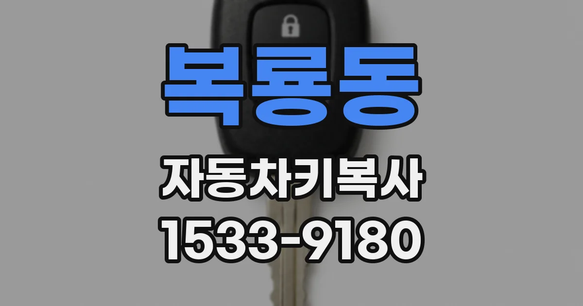 복룡동 자동차키복사