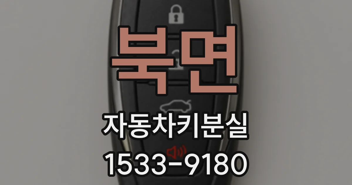 북면 자동차키분실