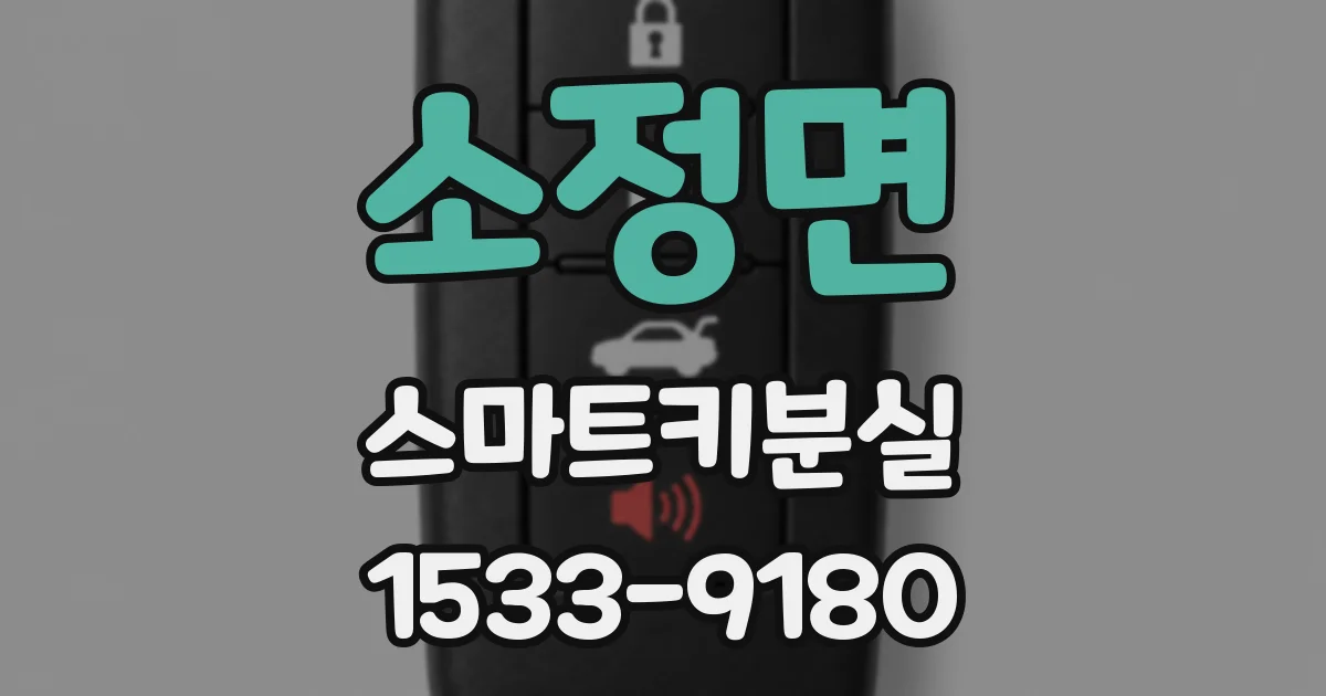 소정면 스마트키분실